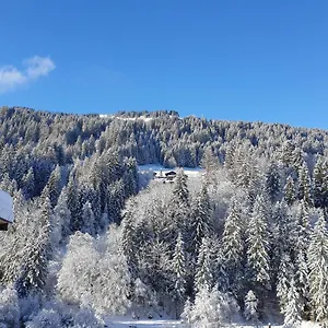 Les 3 Cols Morzine, 2 Pieces, 2 Personnes Apartment